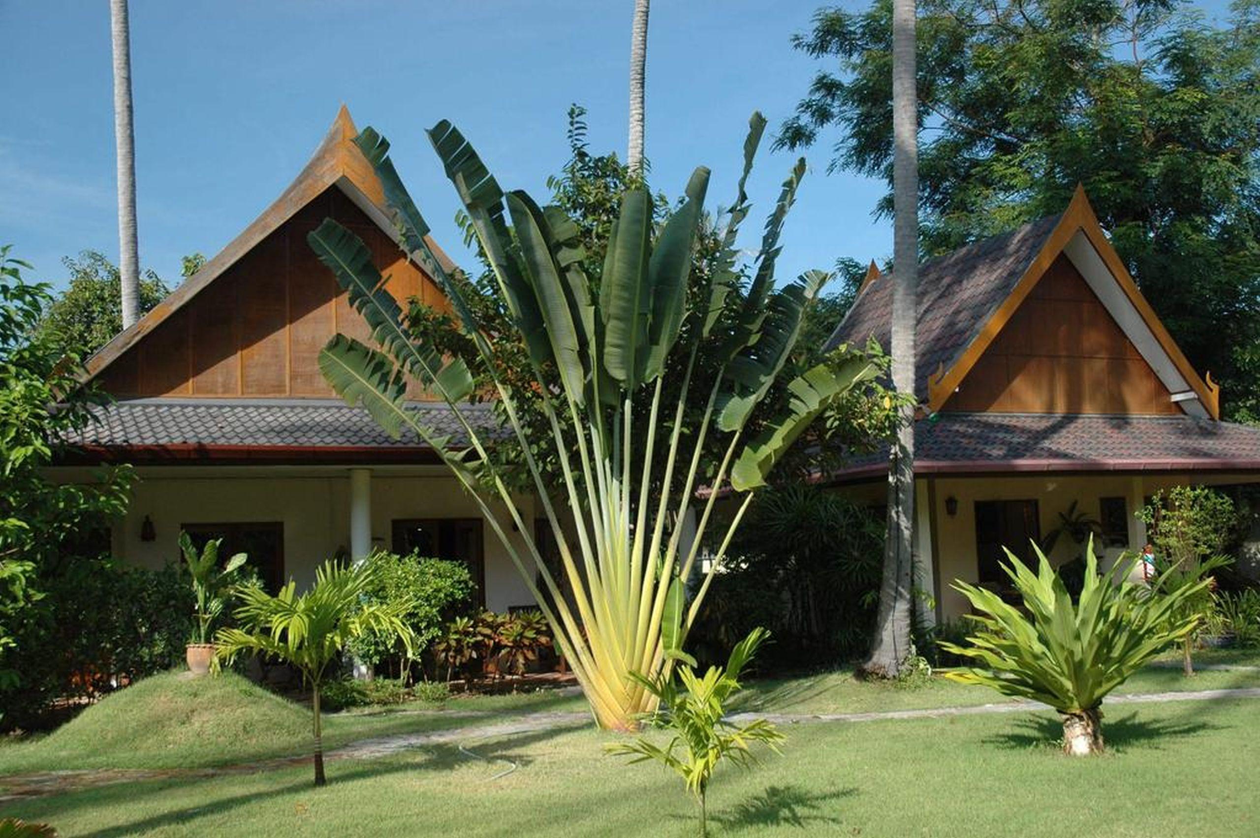 Palm Garden Resort Rawai Esterno foto